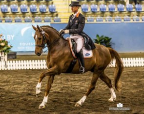 Brett Parbery and Longview Florencio at the 2015 Australian Dressage Championships :: Photo © Stephen Mowbray
