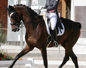 German born Christiane Schröder and Stedisboy were 7th in the Grand Prix but did not contest the Kur
