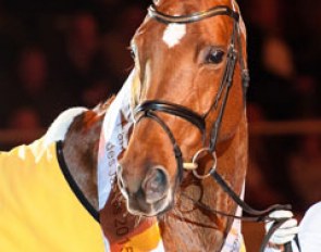Goldmarie, Hanoverian Mare of the Year 2015