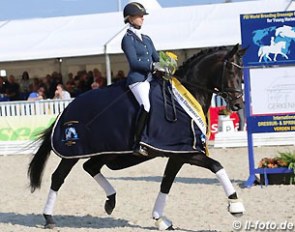 Eva Möller and Der Schufro (by Der Designer x Don Schufro) at the 2015 Hanoverian Young Horse Championships in Verden :: Photo © LL-foto