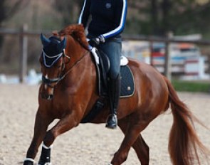 Dominique Filion schooling Donna Lisa