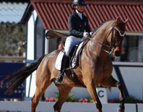 Sharon Höltschi on Conteur's Charmeur (by Conteur x Wenzel II)