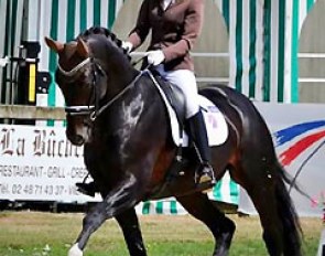 Alizee Roussell on Quaterbold du Payrol