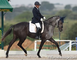 Portuguese Hugo Pereira on the Dutch bred and owned mare Fiolijn (by Jazz x Democraat) at the 2015 CDI Vilamoura :: Photo © Astrid Appels