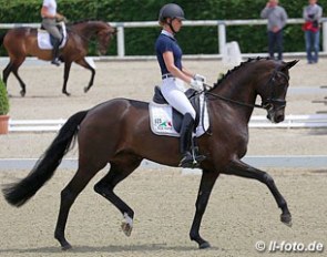 Isabel Bache on Gestut Ammerland's Oldenburg mare Fasine at the WCYH selection trial in Warendorf :: Photo © LL-foto