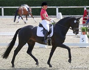 Anja Engelbart on Fusion OLD, an Oldenburger stallion by Fürst Romancier x Sion