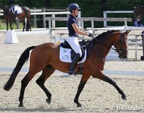 Stefanie Wolf on Rockman, a Westfalian stallion by Rock Forever I x Show Star