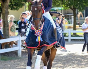 Christina Vinios and Folkestone win the 2015 U.S. Developing PSG Horse Championship :: Photo © Sue Stickle