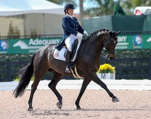 Kimberly Herslow and Rosmarin (by Rosentanz) are the U.S. high ranked small tour pair in the running for a Pan Am team spot :: Photo © Sue Stickle