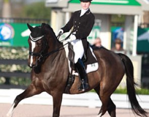 Canadian Belinda Trussell on Tattoo, competing at the 2015 CDI Wellington :: Photo © Astrid Appels