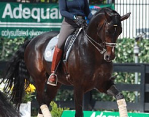 Swedish Tinne Vilhelmson on Benetton Dream