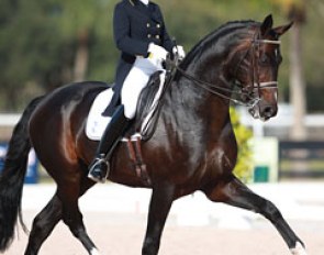 Tinne Vilhelmson and Benetton Dream at the 2015 CDN Wellington :: Photo © Astrid Appels