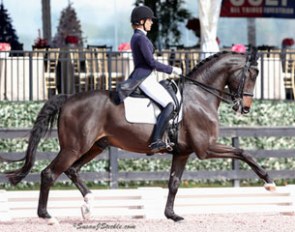 Christina Vinios on Folkestone at the 2015 U.S. Dressage Championships :: Photo © Sue Stickle