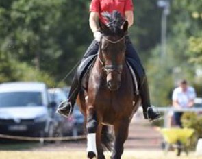 Claire Averkorn schooling Condio B in a snaffle
