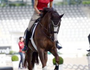 Ingrid Klimke on Geraldine