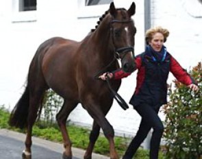 Arlene Page and Woodstock at the horse inspection