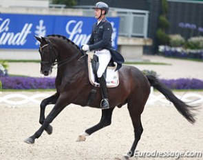 Mario van Orshaegen and Wilco V at their last competition together, the 2016 CDIO Aachen :: Photo © Astrid Appels