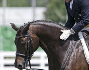Cesar Parra pats Fashion Designer OLD after a successful ride :: Photo © Stacey Lynn