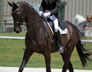 Sue Nevett and Clifton Court Laurenz :: Photo © Jessica Atkins