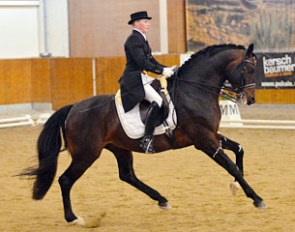 Marcus Nowotny on Solitaire Gold (by Serano Gold)