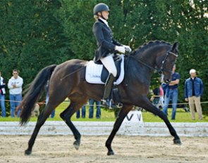 Nicola Heyser and San Latino at the 2014 Swiss Young Horse Championships