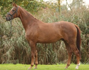 Sundowner (by Stoiber SN x Weltmeyer)