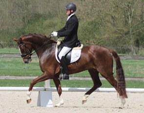 Nick van Laer on Friendscout (by Floriscount x Don Vino)
