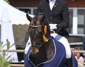 Frederic Wandres and Sir Skyfall at the 2016 CDN Bielefeld
