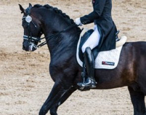 Marc Boblet on Soliman de Hus