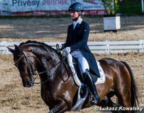 Mandy Zimmer on Saladin