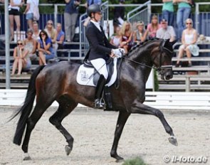 Laura Blackert and Deluxe at the 2016 Bundeschampionate :: Photo © LL-foto