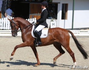 Friederike Kampmeyer on Valencia at the 2016 Bundeschampionate :: Photo © LL-foto