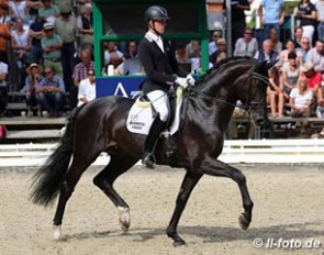 Lukas Fischer and Daytona Platinum at the 2016 Bundeschampionate :: Photo © LL-foto