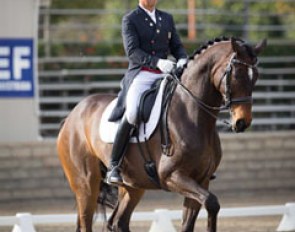 Steffen Peters and Legolas at the 2016 CDI-W Burbank :: Photo © Terri Miller