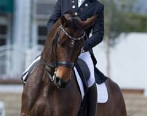 Steffen Peters and Rosamunde at the 2016 CDI-W Burbank :: Photo © Terri Miller