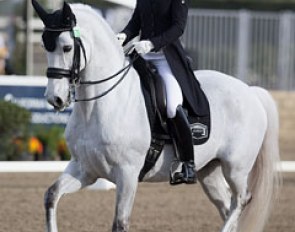 Michelle Reilly and Umeeko at the 2016 CDI-W Burbank :: Photo © Terri Miller
