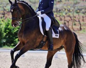 Jean-François Vesin and Romy at a national spring show at Elevage Massa in the South of France :: Photo © Celine Bocchino
