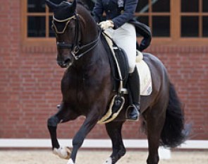 Victoria Max-Theurer and Della Cavalleria at the 2016 CDI Cappeln :: Photo © Tanja Becker