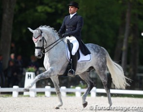 Alexandre Ayache on the lovely Axel (by Sandreo). The pair rode the trot work too up tempo and lacked collection, especially in the first part of the test.