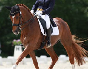 Rachel Bastady on Fandango d'Arx at the 2016 CDIO Compiegne :: Photo © Astrid Appels