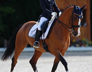 Spanish junior Natalia Bacariza Danguillecourt on Zoef at the 2016 CDIO Compiegne :: Photo © Astrid Appels