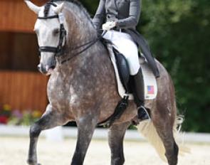 American young rider Kerrigan Gluch gaining mileage and exposure in Europe by competing Vaquero HGF at the 2016 CDI Compiegne in France :: Photo © Astrid Appels