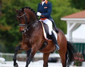 Dutch Danielle Heijkoop made her Grand Prix CDI debut on her 10-year old Badari. The bay is an eye catcher but he is still green at Grand Prix, often creeping behind the vertical as he still works on carrying himself