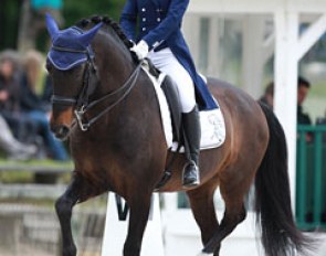 Swiss Fanny Lerpiniere on the Lusitano Viena II