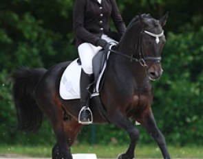 Charlotte Palas and Under Cover Fast at the 2016 CDIO Compiegne :: Photo © Astrid Appels