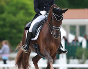 Laurens Vanderbeeken on Happy Pia van de Bergenhoeve at the 2016 CDIO Compiegne :: Photo © Astrid Appels