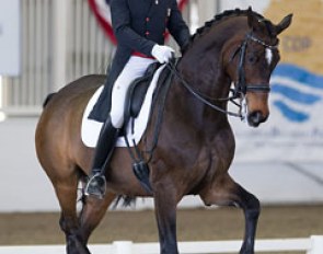 Steffen Peters and Legolas at the 2016 CDI Del Mar :: Photo © Terri Miller