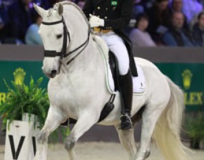 Brazilian Joao Victor Oliva on Xama dos Pinhais. He was one of several riders who competed at the CDI Lier last week and went straight to Den Bosch this week