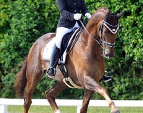 Danish Katrine Kraglund and Bohemian (by Bordeaux x Samarant) :: Photo © Ridehesten