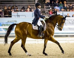 Jill Irving and Degas win the Grand Prix Special tour at the 2016 CDI-W Devon :: Photo ©  Jennifer MacNeill